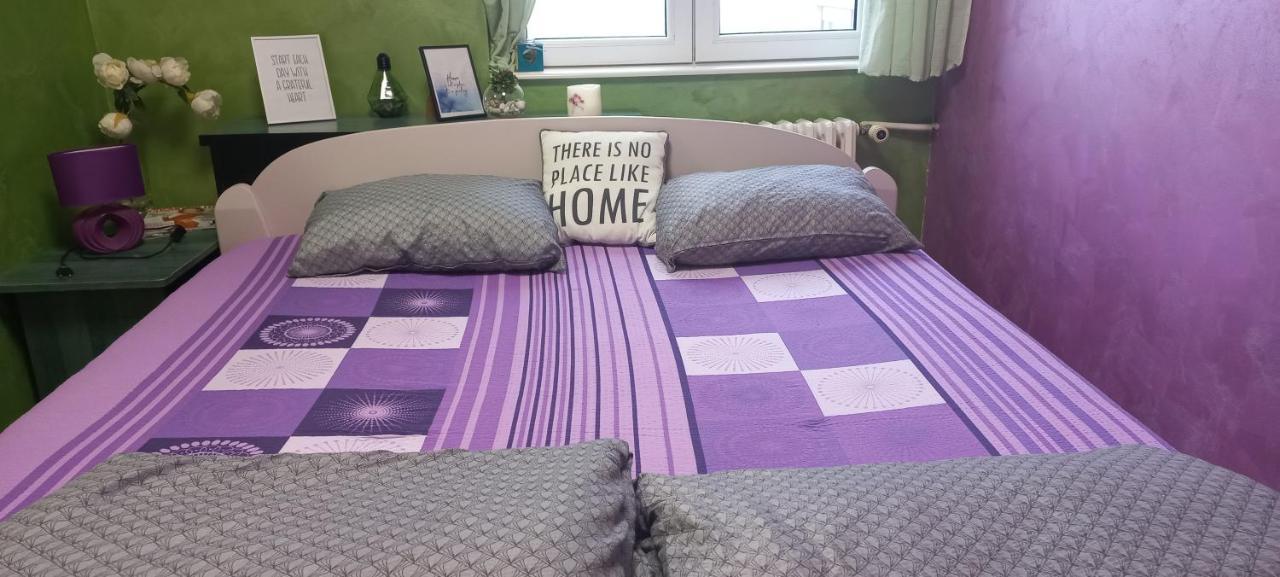 Sweet Home Danube Liman Apartment Novi Sad Esterno foto