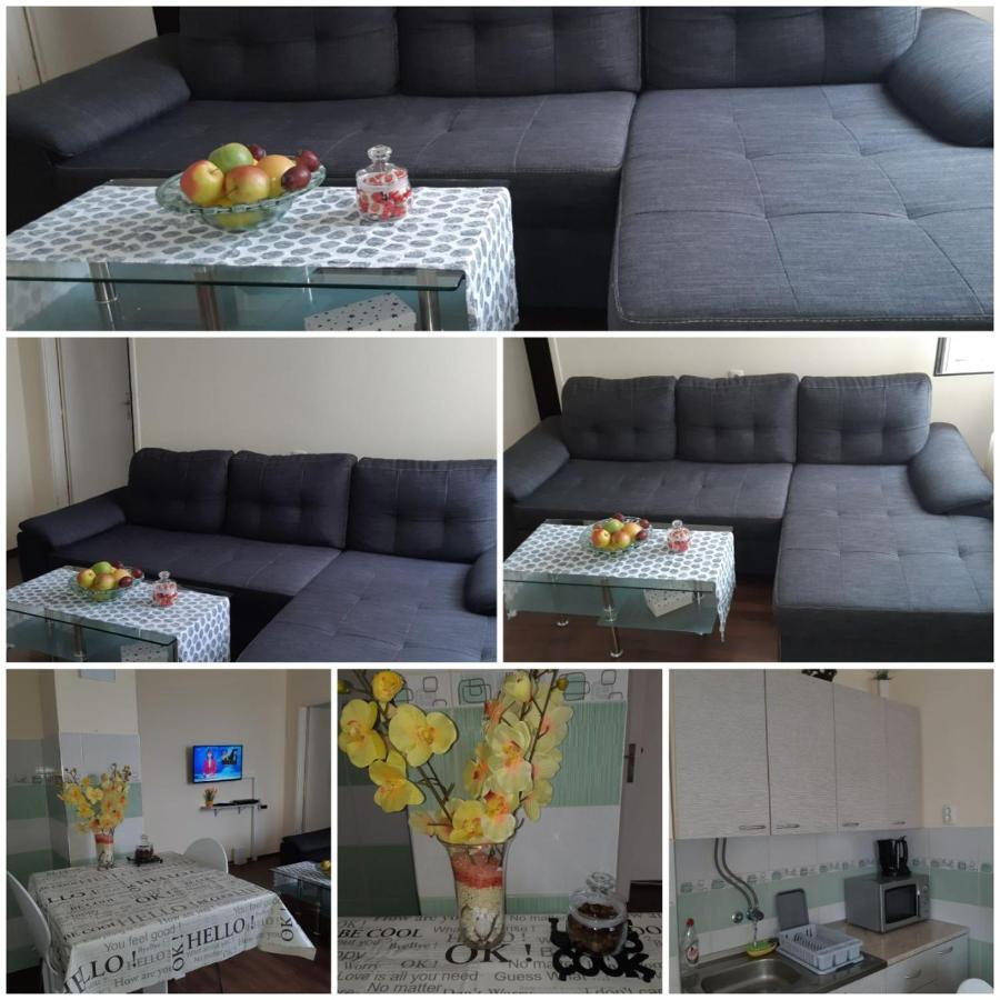 Sweet Home Danube Liman Apartment Novi Sad Esterno foto