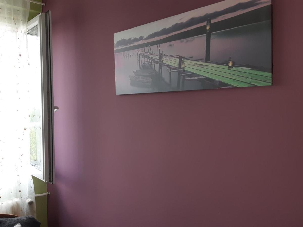 Sweet Home Danube Liman Apartment Novi Sad Esterno foto