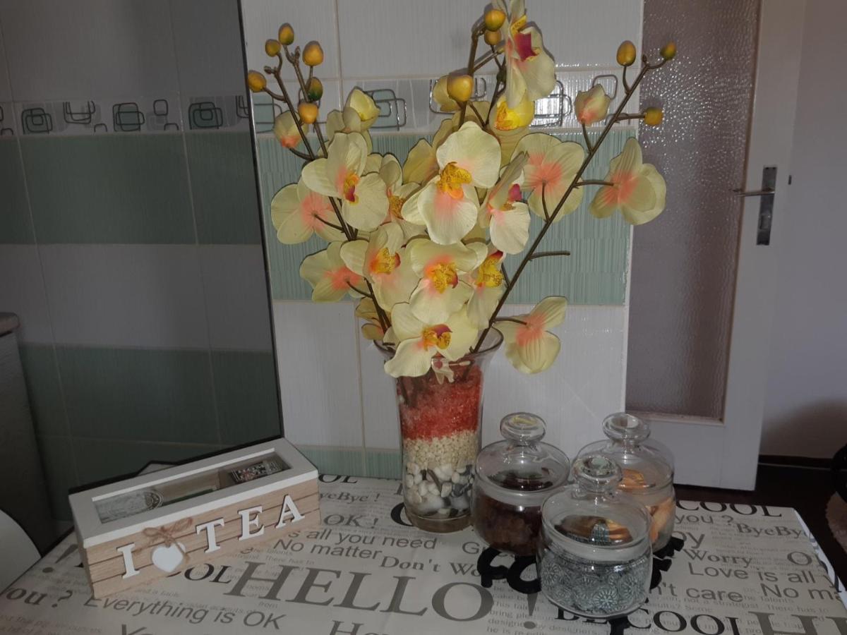 Sweet Home Danube Liman Apartment Novi Sad Esterno foto